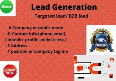 i will provide targeted LinkedIn & Business lead generation
