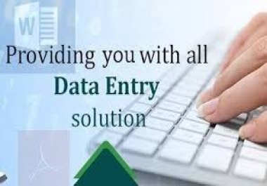 I will be do data entry,  data mining,  copy paste,  web research for you