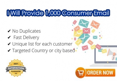 I will provide 1000 Consumer Email for your business
