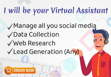 I can be your personal Virtual Assistant
