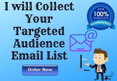 I Will Provide Niche or Country Based targeted Audience 300 Active Email List as your Requirement