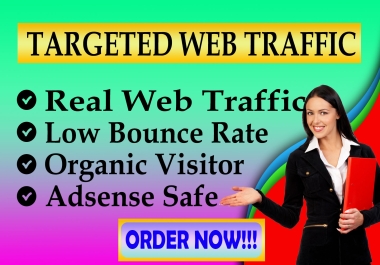 I will bring real USA targeted web traffic,  real daily visitors promote in google