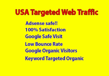 I will Provide targeted web traffic from social media