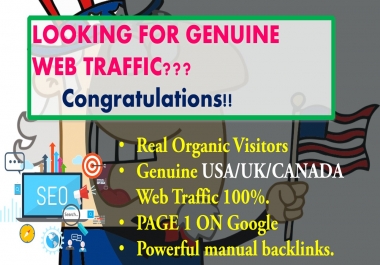 I will drive Genuine USA based web Trafic.