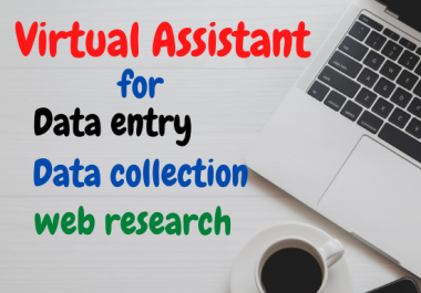 I will be your virtual assistant for perfect data entry and web research