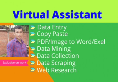 I will do perfect data entry and web research work