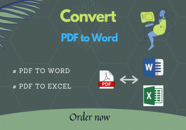 I will do convert PDF to word,  PDF to excel,  copy paste,  data entry