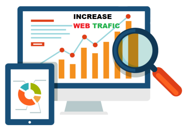 I will bring 1k to trafic to your website