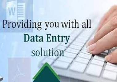 Virtual assistant for Data Entry Services 24/7