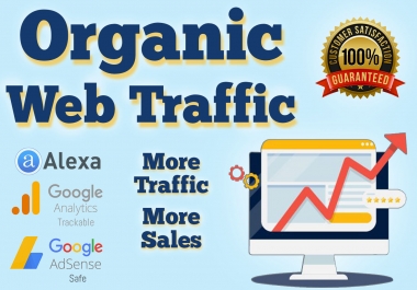i will drive google organic web traffic