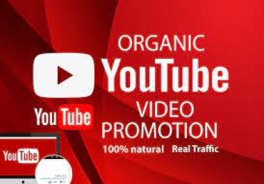 Organic Growth your YouTube Video Promotion Real Active Audience