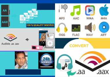 i will convert audible file to mp3 or any other format