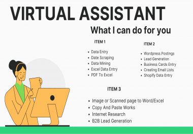 I Will be your virtual assistant for 4 hours