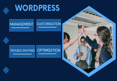 Manage update,  maintain,  fix,  optimize wordpress website