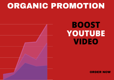 I will do organic youtube video promotion to unlimited audiences