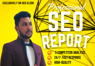 I can Provide Professional SEO Audit Report