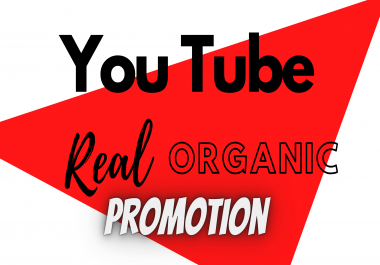Promote your YouTube Videos to Targeted Audience