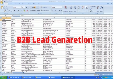 I will b2b Lead generation LinkedIn leads