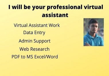 i will be your personal virtual assistant for your task