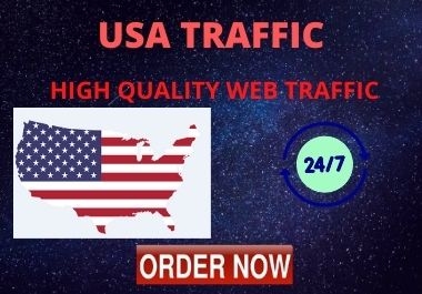 I will drive niche targeted web traffic mostly form USA
