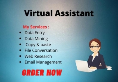 I will be your virtual assistant,  analytics,  research,  marketing