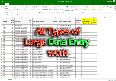 I will do all types of large data entry work