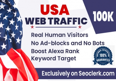 Send USA 100,000 keyword target organic traffic from google