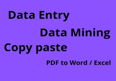 I will do data entry and copy paste work