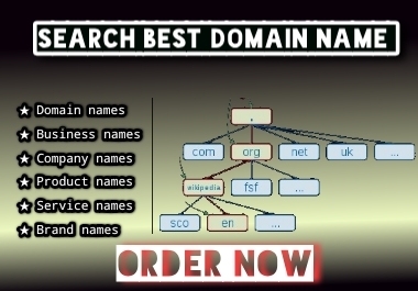 I will Expert in unique domain name serch for Website.