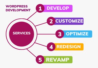 I will develop a responsive and customized wordpress website