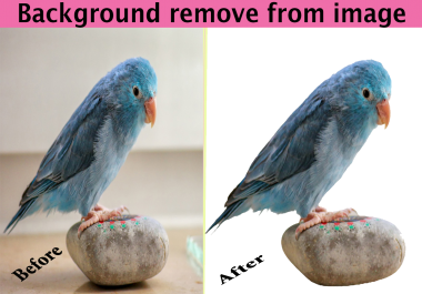 Provide background remove from images