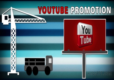 I will do organic youtube promotion to bring real audience 2