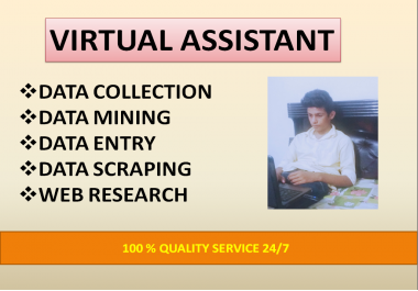 I will be your virtual assistant for data related work