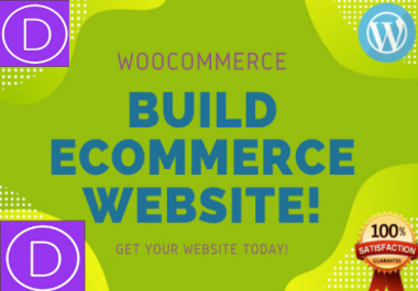 I will build professional wordpress ecommerce website or store