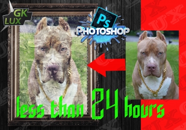 I will make the best digital oil color painting based on your photo less than 24 hour