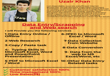 I will do impressive data scrapping and data mining with quality web search