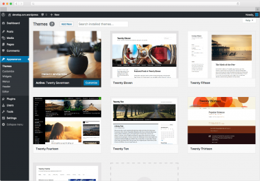 I will create your WordPress Theme