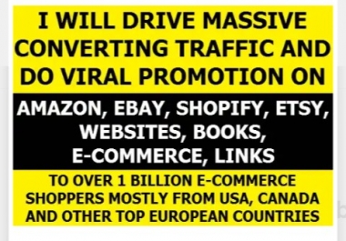 I will drive real human traffic with proof to ecommerce, website promotion for 1