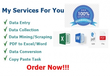 I will do for you data entry,  data mining,  copy paste