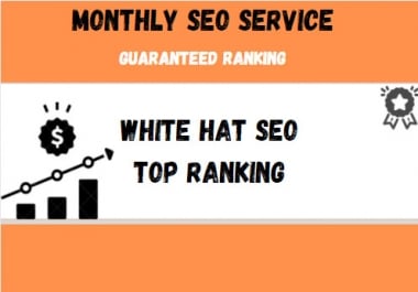 Provide a Complete monthly SEO Service With backlinks For Google Top Ranking