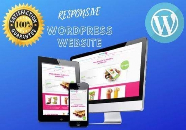 i will design and redesign wordpress responsive website