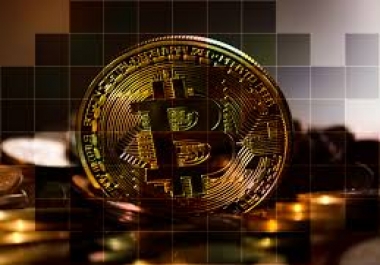 I will provide you 1000 emails list of bitcoin investor