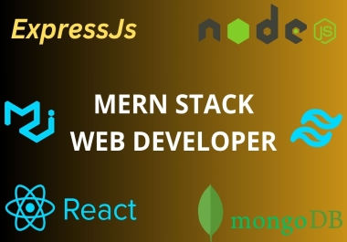 I will develop custom web application using mern stack,  react js,  nodejs