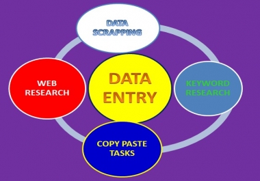 I will do excel data entry,  copy paste,  typing,  data entry