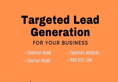 I will do Lead generation for your Targeted Business