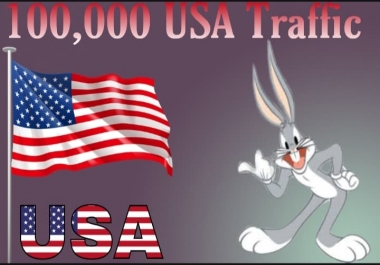 i will send 100,000 USA Target Traffic