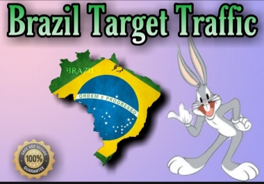 1600 BRAZIL TARGETED traffic to your website or blog-trackable on Google Analytics