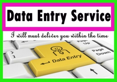 I will do fast Data entry in within hours