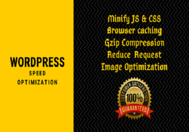 i will do speed optimization of Wordpress Website Professionally