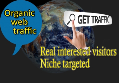 I Will Send 500 Traffic On Your Website In Two Days